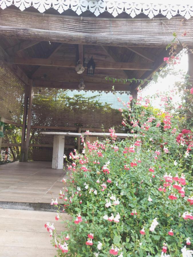 르탕퐁 La Rosee Des Plaines 아파트 외부 사진